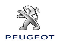 Aux Kabel Geschikt Voor Peugeot