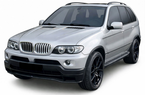 bmw-x5-e53-sport-nieren-grill-chroom-2-delig