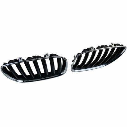 bmw-x5-e53-sport-nieren-grill-chroom-Zwart-2-delig