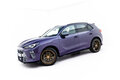 Maxton Design Cupra Terramar Side Skirts Diffusers Versie 1