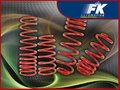 FK Automotive Veren Verlaging Geschikt Voor Volkswagen Golf 4 1j vanaf 1997