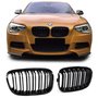 Bmw 1 Serie F20 F21 M1 Sport Nieren / Grill  Hoogglans Zwart