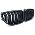 Bmw 6 Serie F06 F12 F13 Grill Hoogglans Zwart Dubbele Spijl