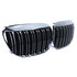 Bmw 6 Serie E63 E64 Grill Hoogglans Zwart Dubbele Spijl