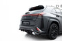 Maxton Design Lexus UX F Sport MK1 Rear Centre Diffuser Vertical Bar Versie 1