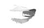 CSR-Automotive-Cupra-Tavascan-Achterklep-Spoiler-Extention-HF281