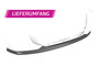 Splitter-Spoiler-BMW X6 G06 M Pack / M50i CSL589