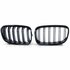 mw 1 Serie F20 F21 M1 Sport Nieren / Grill  Hoogglans Zwart