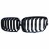 mw 1 Serie F20 F21 M1 Sport Nieren / Grill  Hoogglans Zwart