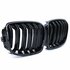 mw 1 Serie F20 F21 M1 Sport Nieren / Grill  Hoogglans Zwart