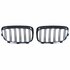mw 1 Serie F20 F21 M1 Sport Nieren / Grill  Hoogglans Zwart
