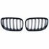 mw 1 Serie F20 F21 M1 Sport Nieren / Grill  Hoogglans Zwart