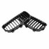 Bmw-1-Serie-F20-F21-M1-Sport-Nieren-/-Grill-Hoogglans-Zwart-Enkele Spijl