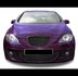 Passend Voor Seat Leon 1P Honingraat Sport Grill Zonder Embleem 05 t/m 09_